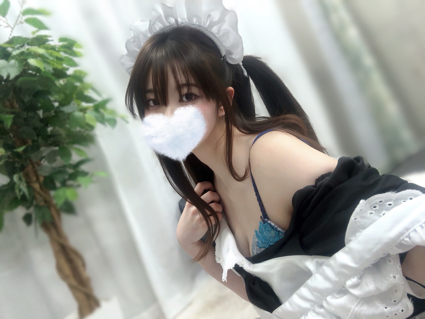 こゆきの画像